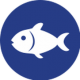 Pescado